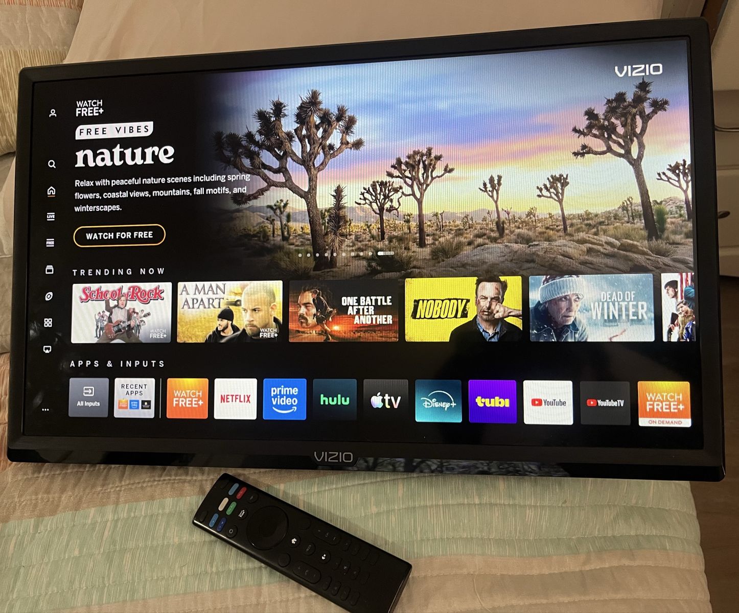 Vizio 24” Smart TV