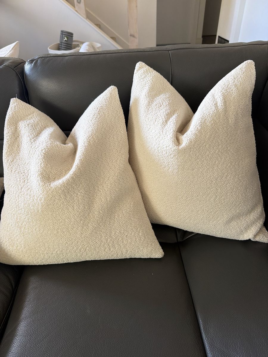 Throw pillows sofa or bed