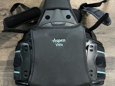 Aspen Vista back brace large