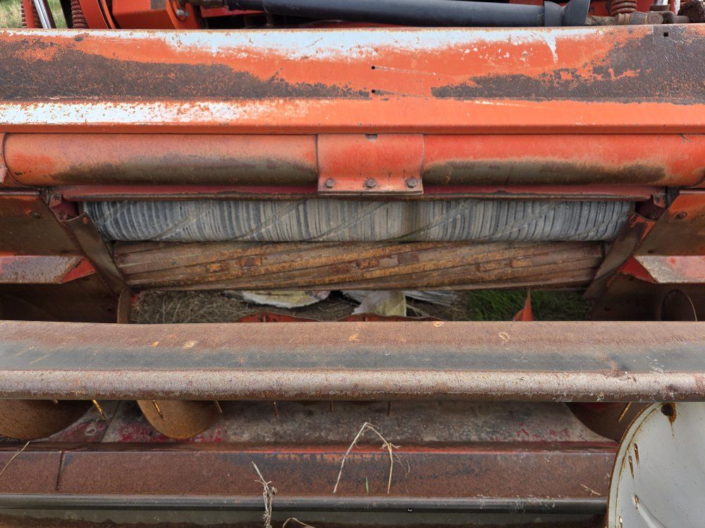 Main image 5