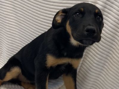 Hello my name is River