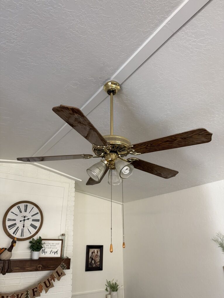 Two Ceiling Fans