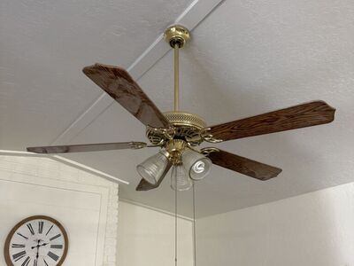 Two Ceiling Fans