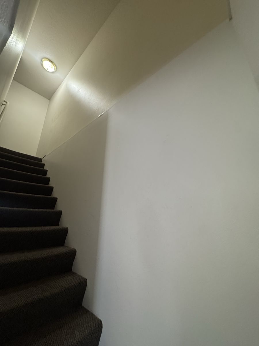 Main image 5