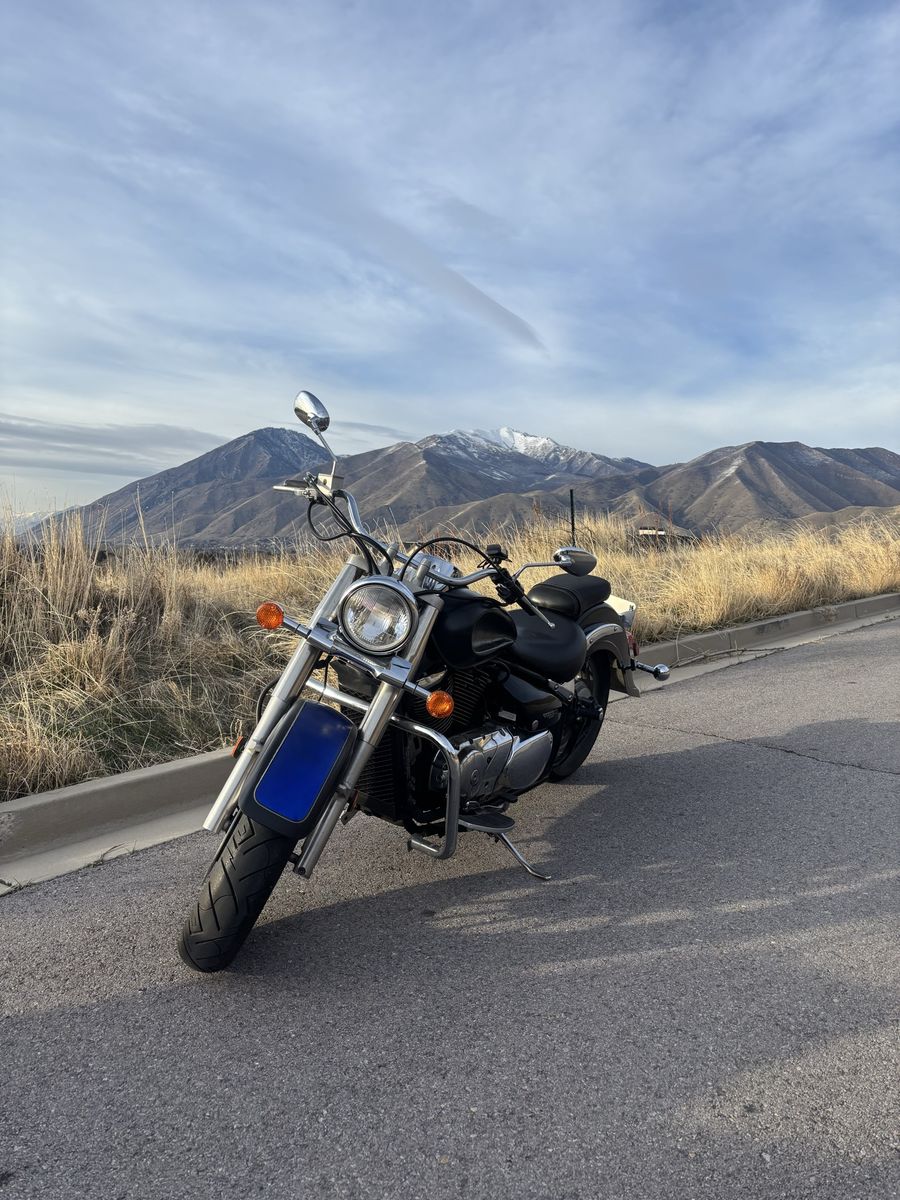 Suzuki VL800 Volusia