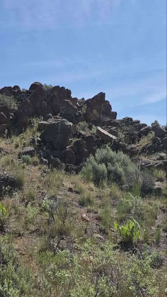 Silver and Critical Minerals Mine For Sale. 