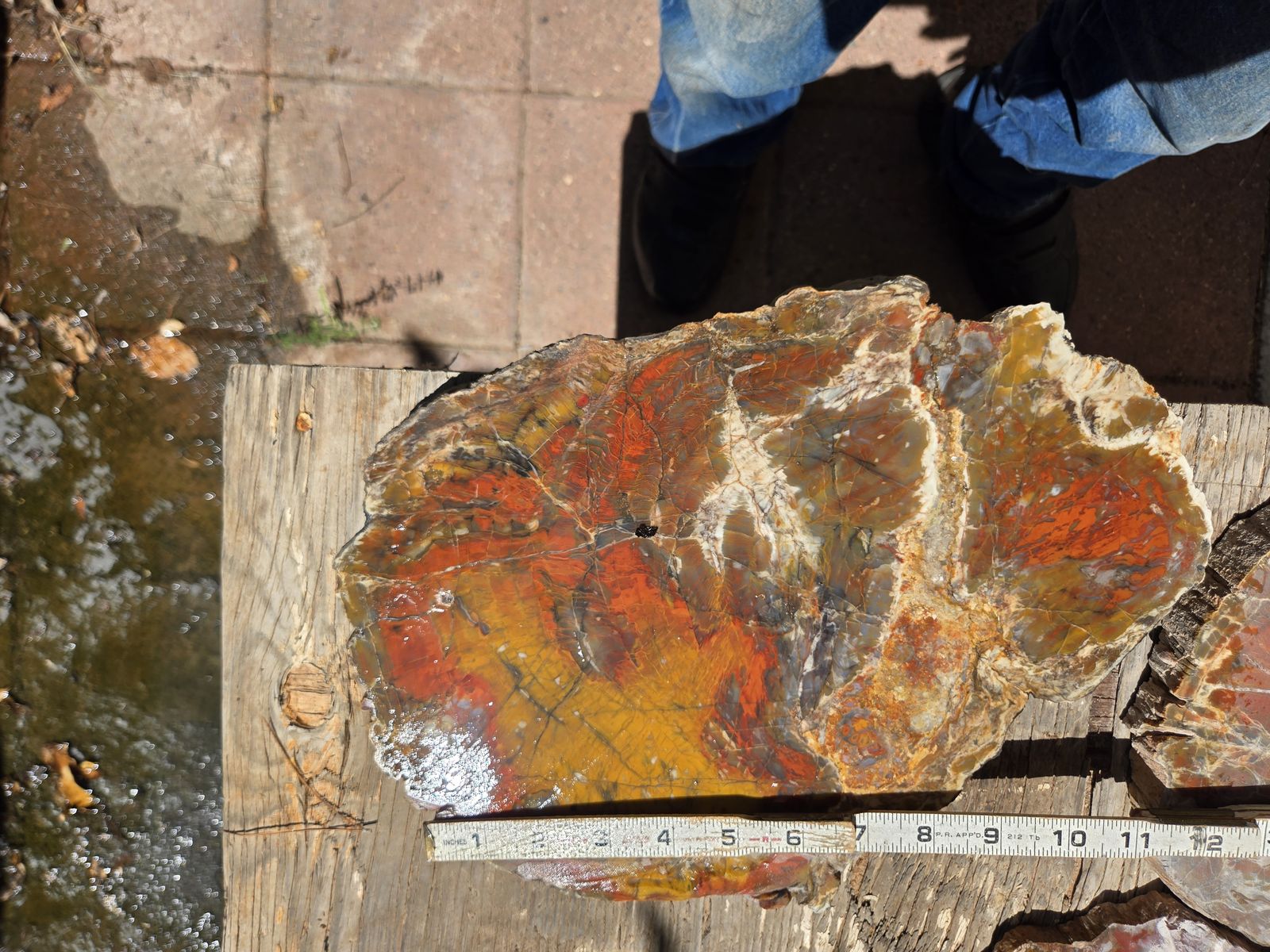 Main image 8