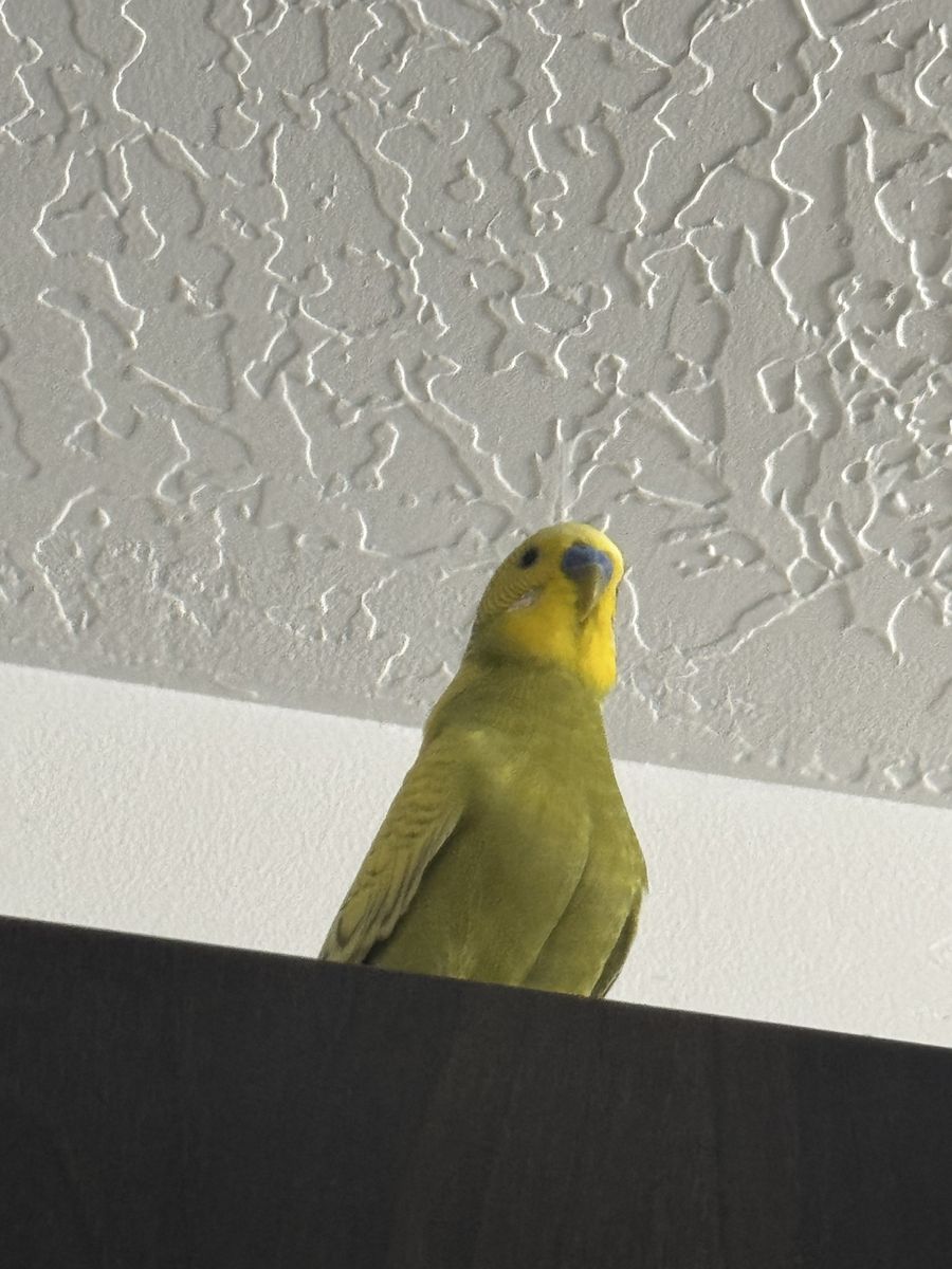 Main image 5