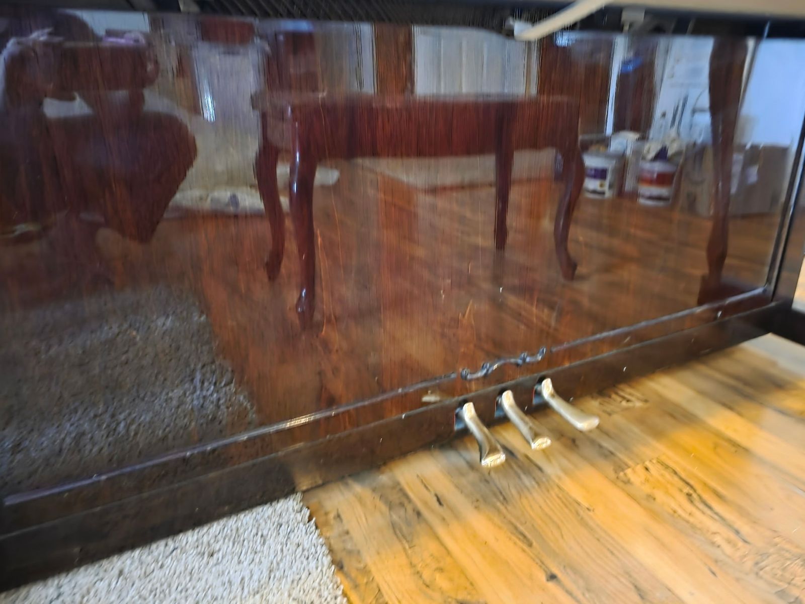Main image 5