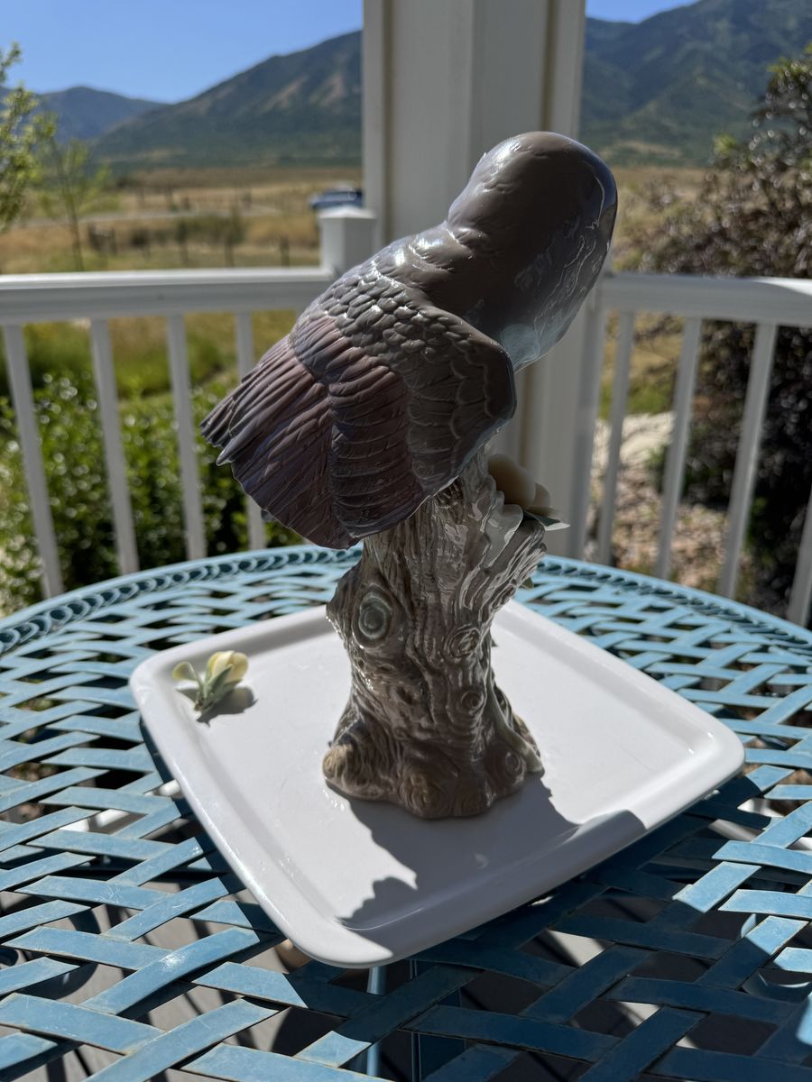 Main image 5