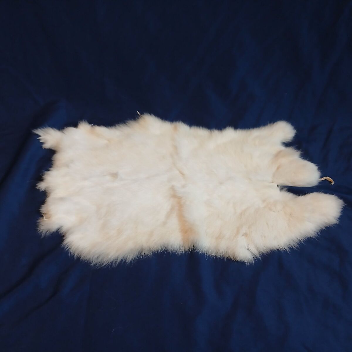 Rabbit pelt