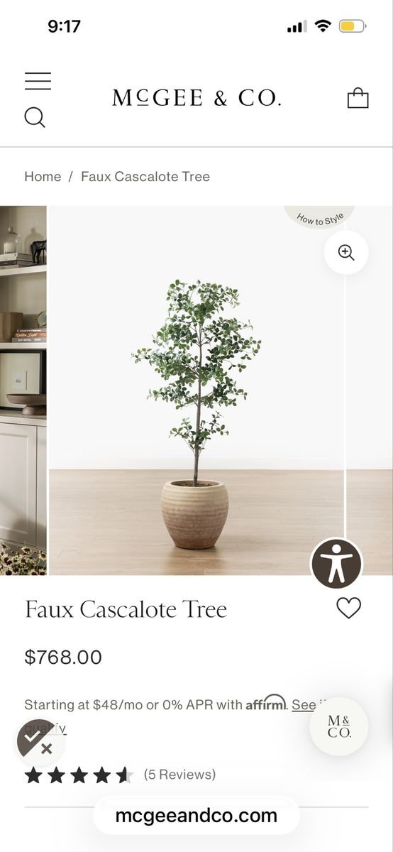 McGee & Co. Faux Cascalote Tree in Decorative Pot