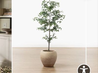 McGee & Co. Faux Cascalote Tree in Decorative Pot
