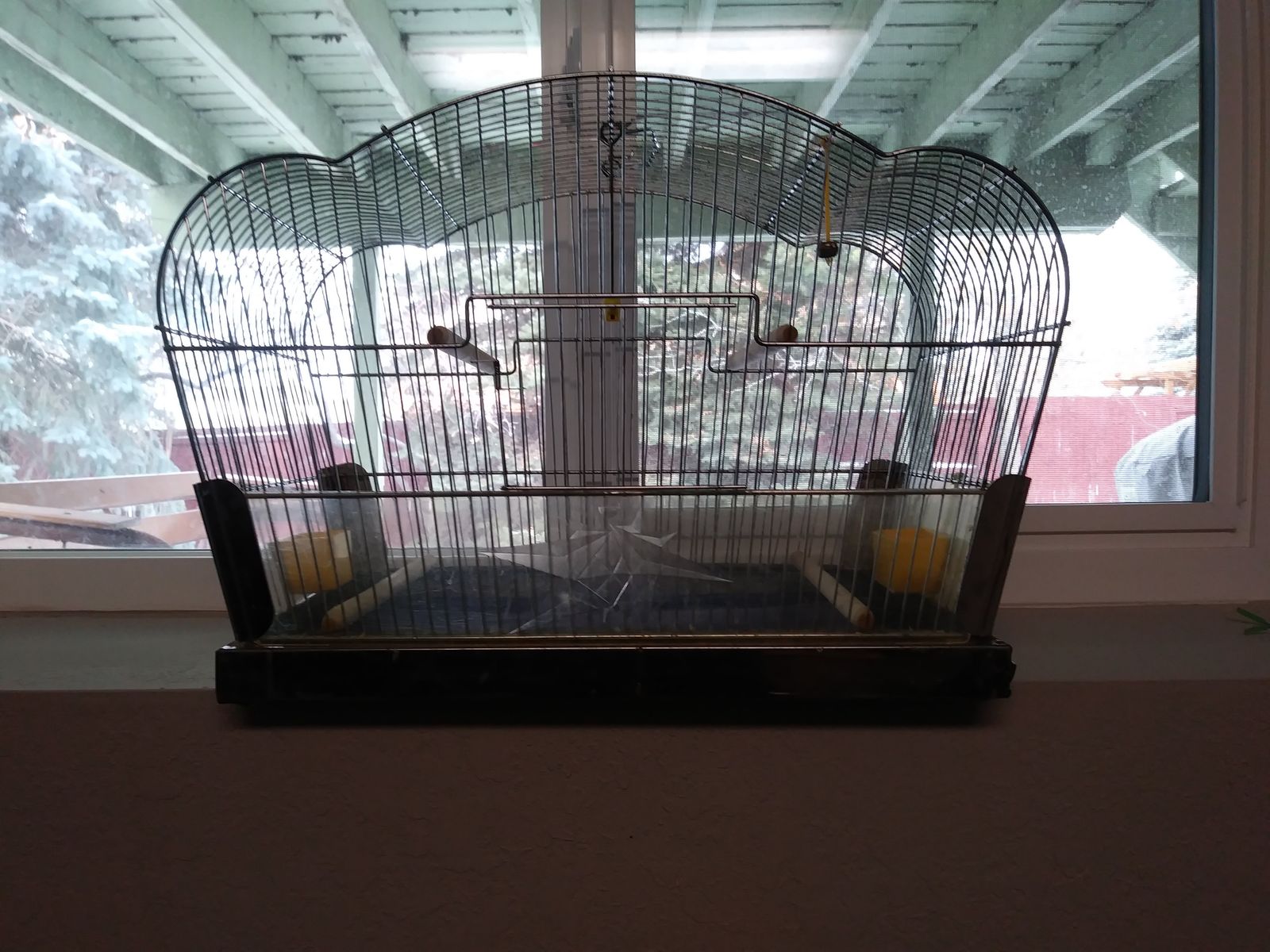 bird cage medium size