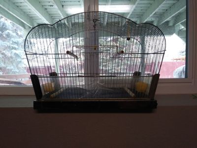 bird cage medium size