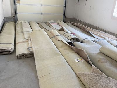 Large clean carpet remnants