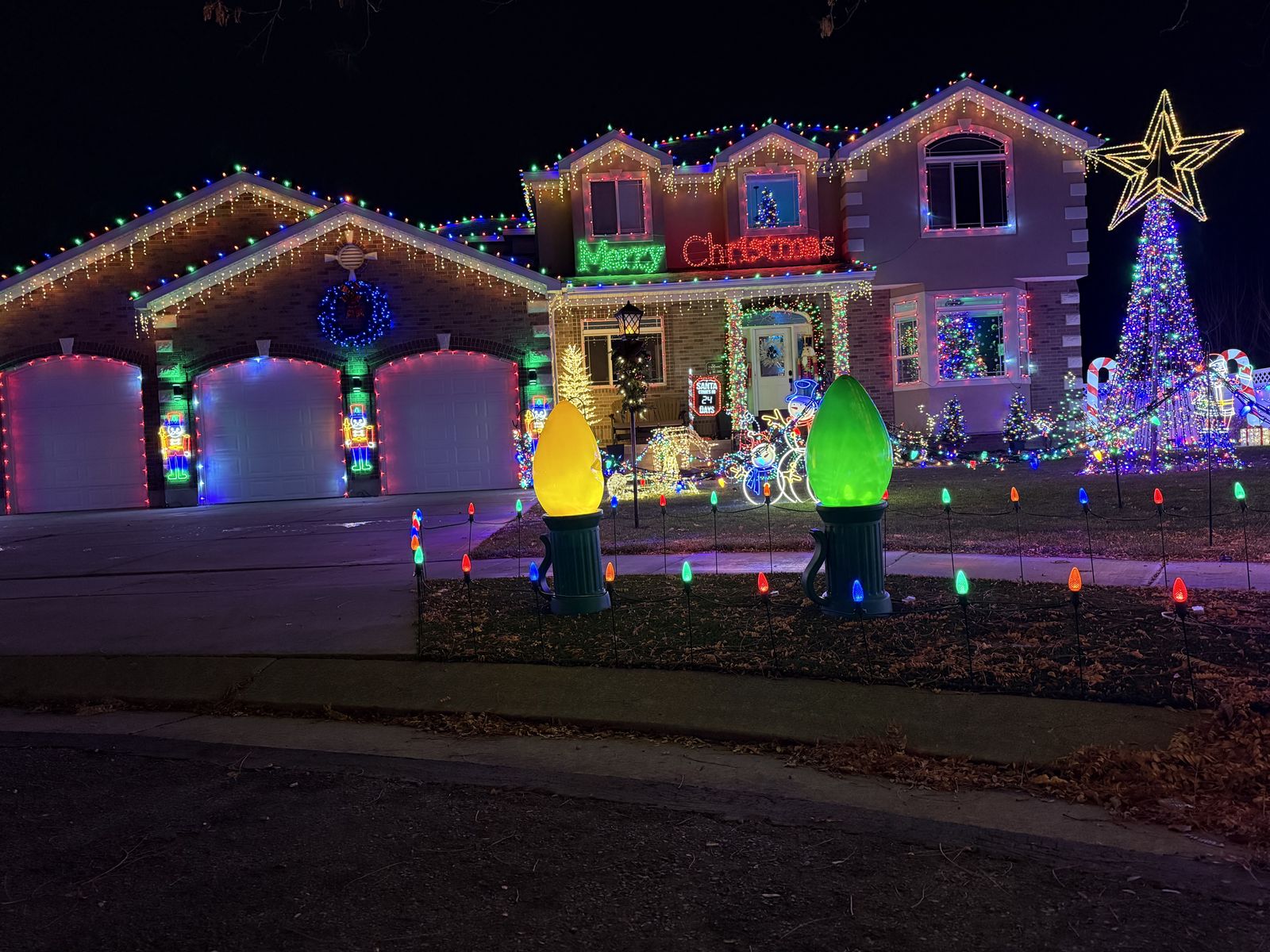 Christmas Light Customer Portfolio For Sale
