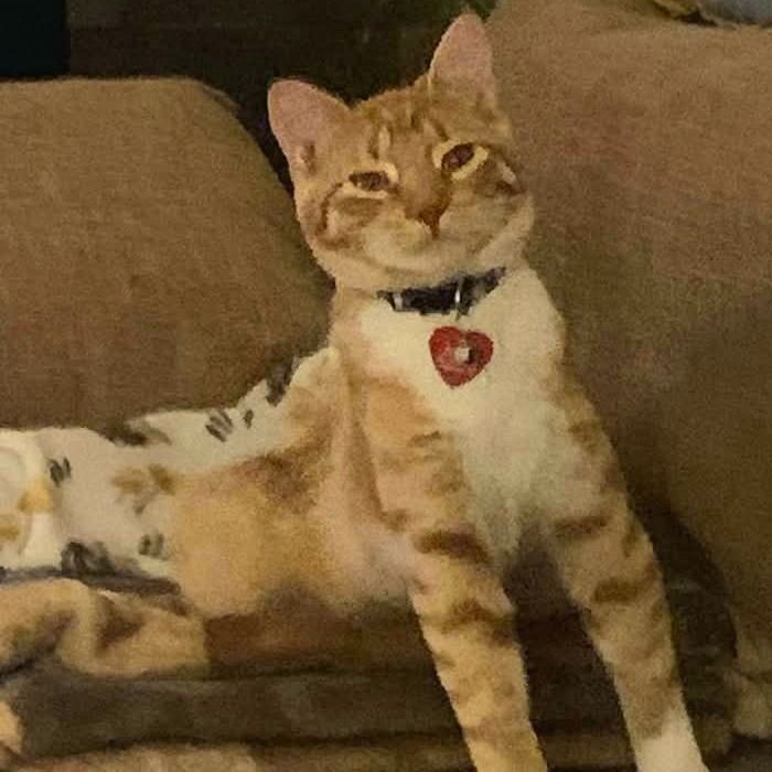 Hello my name is Sparky