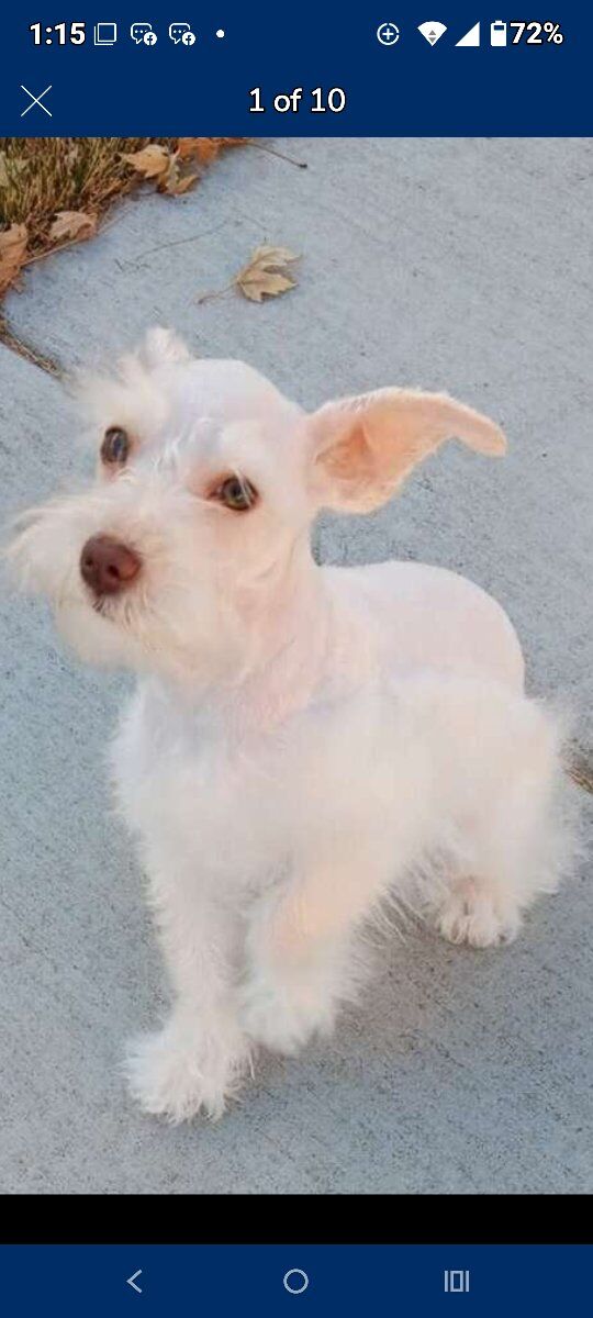 Happy Tails Grooming