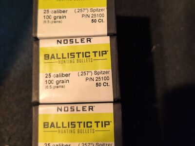 Nosler 25 Cal. 100gr. ballistic tip