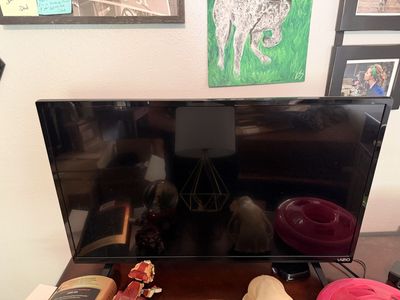 Visio TV + Roku 3