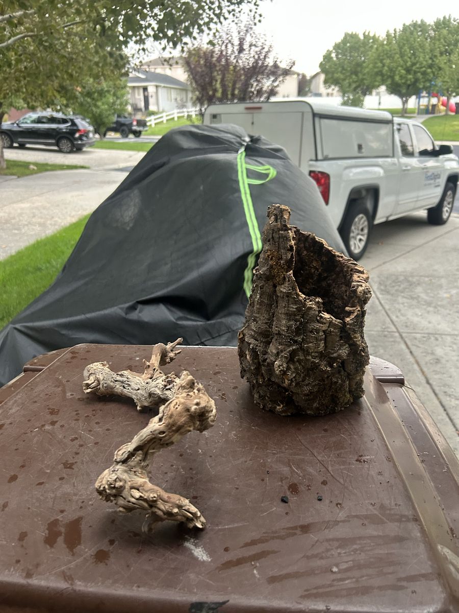 Cork and wood