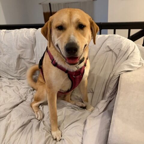 Hello my name is Lil Mama