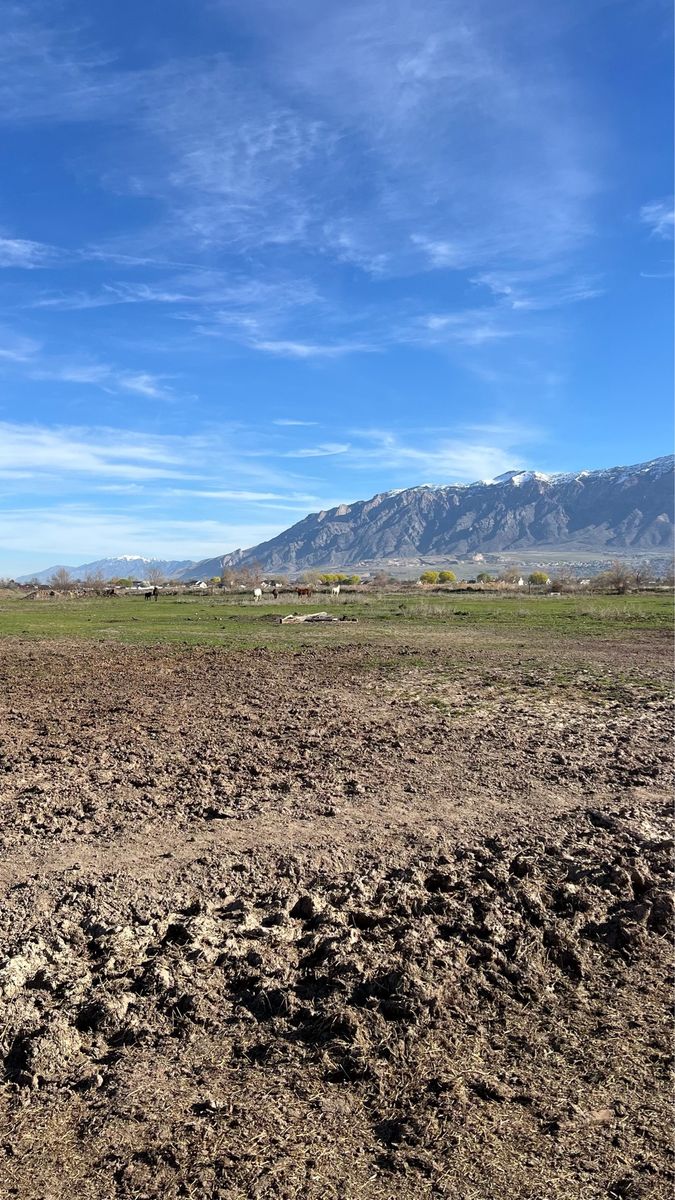 4 Acre Pasture for Rent