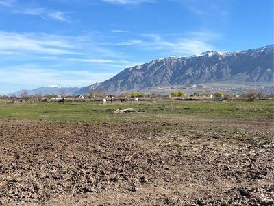 4 Acre Pasture for Rent