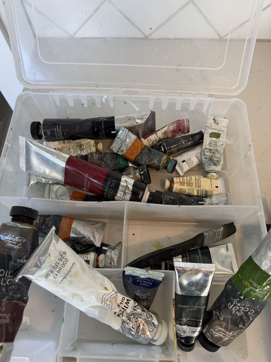 Master's Touch Oil Paint Set with Brushes and Palette Box