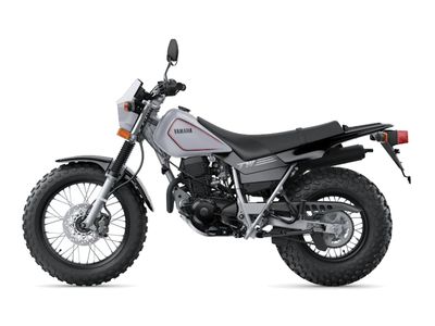 2026 Yamaha TW200 Gallant Gray - UY00714-Z