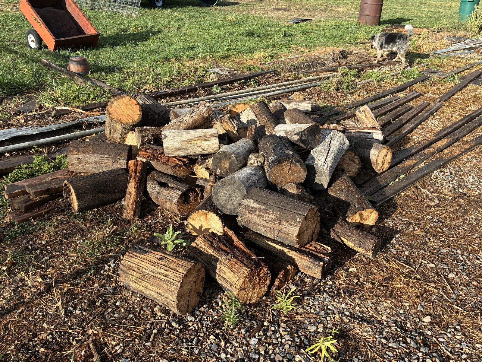 Fire wood for FREE