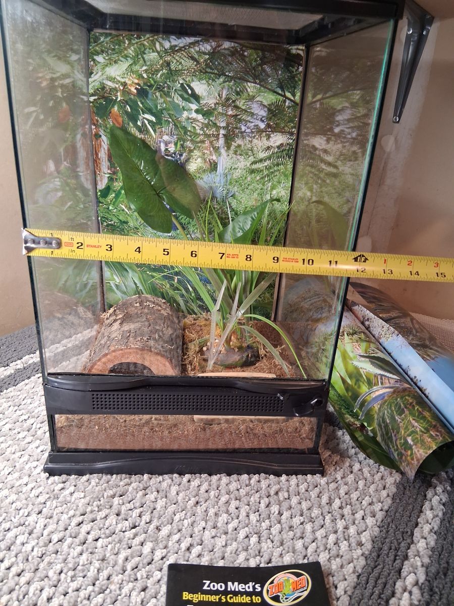 Main image 6