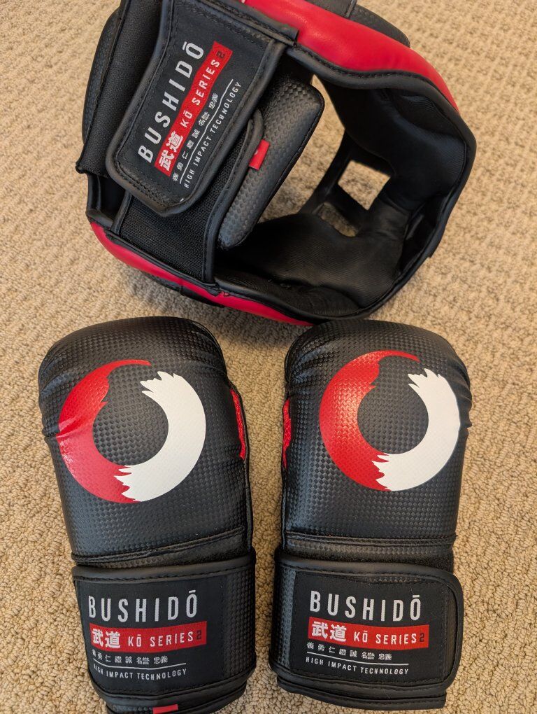 Bushido Sparring Gloves - Size Small