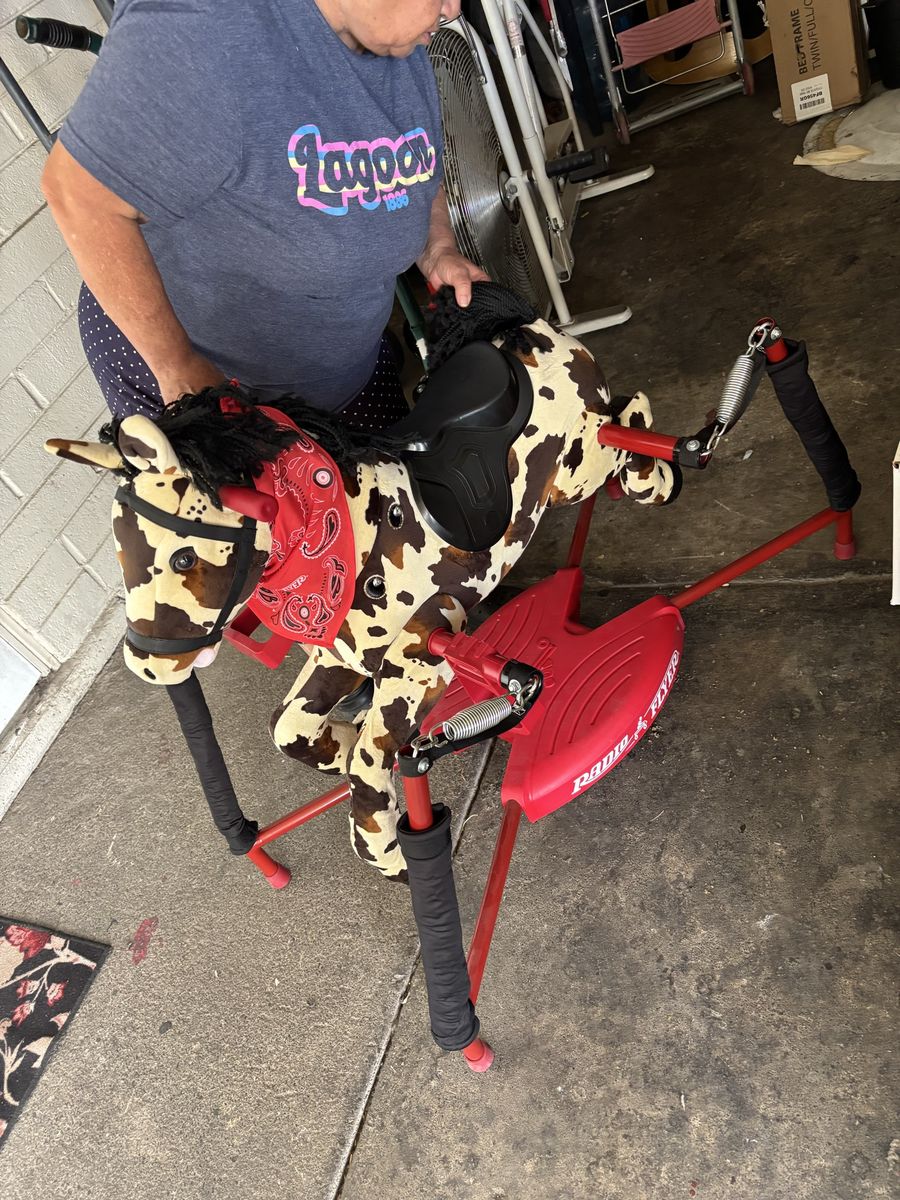 Bouncy horse
