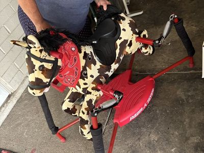 Bouncy horse