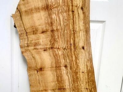 Maple crotch wood slab natural/raw/ live edge
