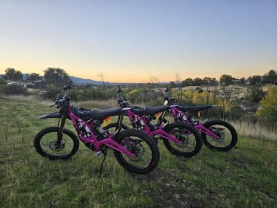 Surron Light Bee X 2025 RENTAL (Pink) – $185/day