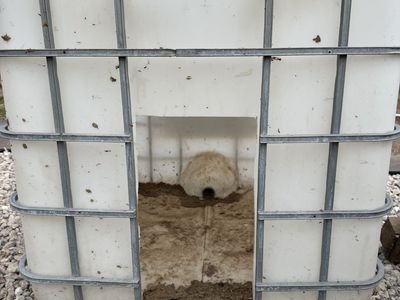 Outdoor Livestock Shelter