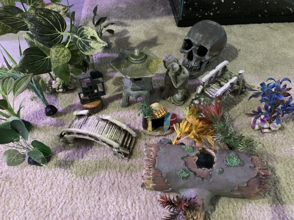 AquarIum Decorations