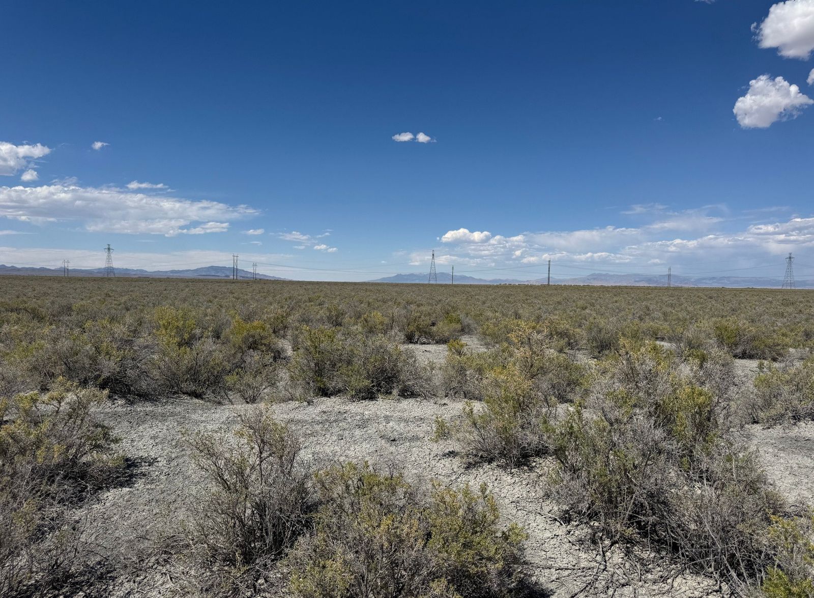 Main image 5