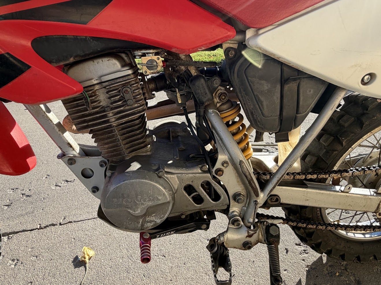 Main image 6