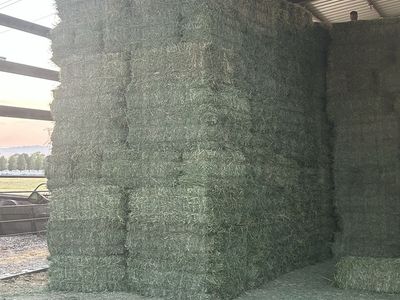 3rd crop alfalfa hay bales