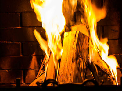 Solid split firewood mix Maple Elm, Pine for fireplace-pit, wood burning stove