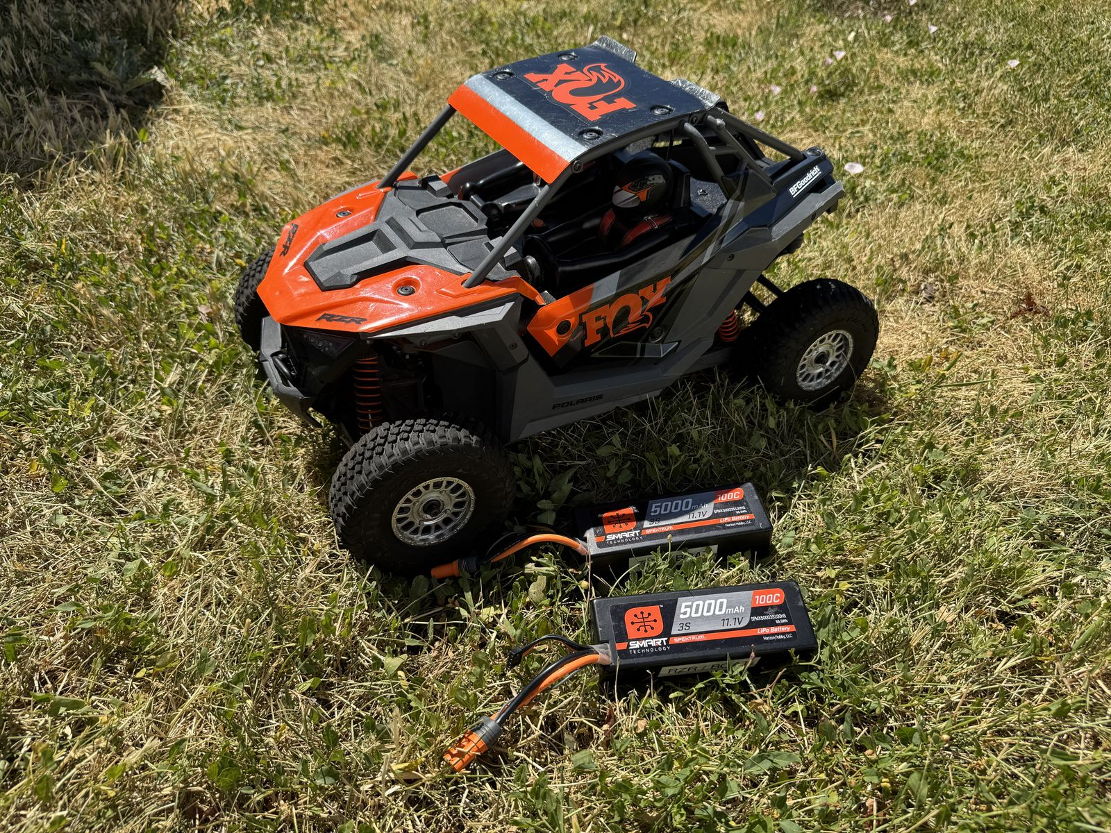 Horizon Hobby Fox 1/10 Losi RZR Rey