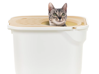 Large Top Entry Cat Litter Box | Litter Catching Lid Enclosure, White/Beige