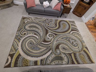 Large Surya Area Rug - Earth Tone Paisley (Monterey Collection)