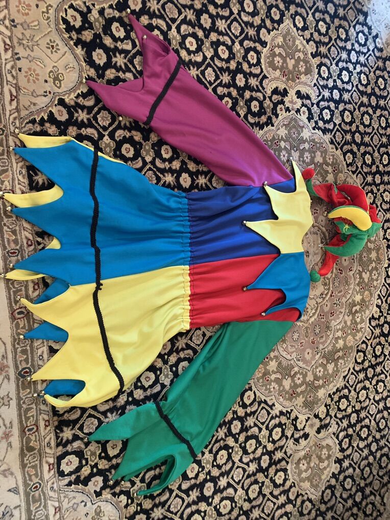 Court Jester Costume