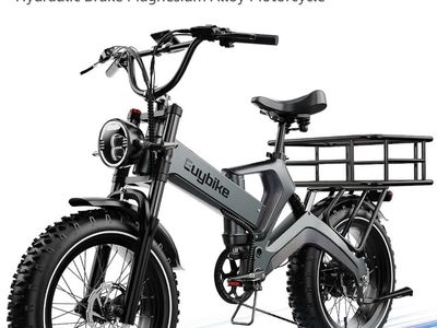 Euybike with basket
