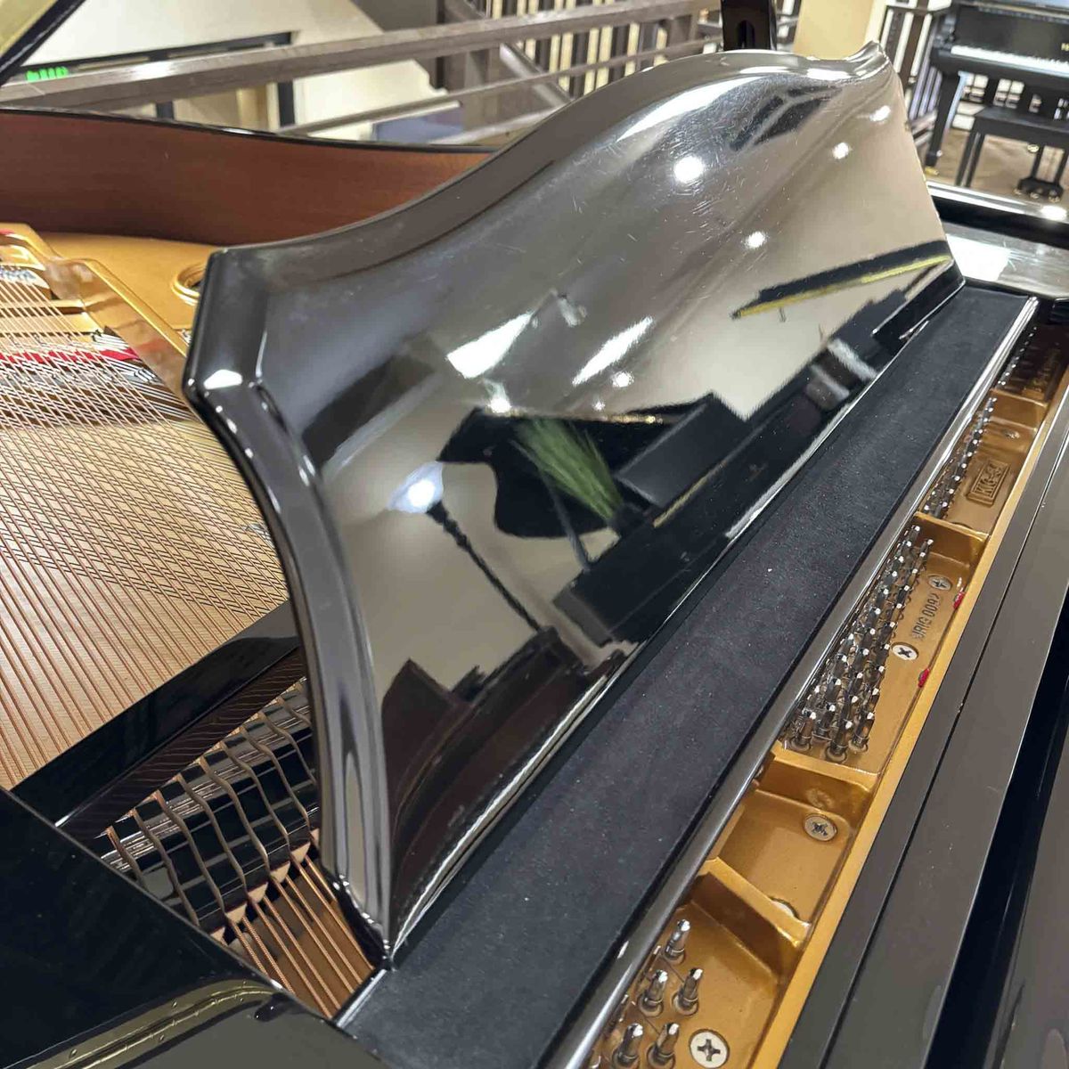 Main image 6